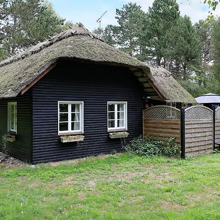6 Person In Rodby-by Traum *